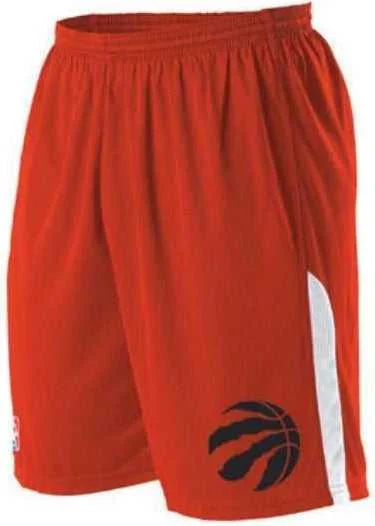 Fun Party Shorts-Alleson Athletic A205LY Youth NBA Logo Game Short - Toronto Raptors